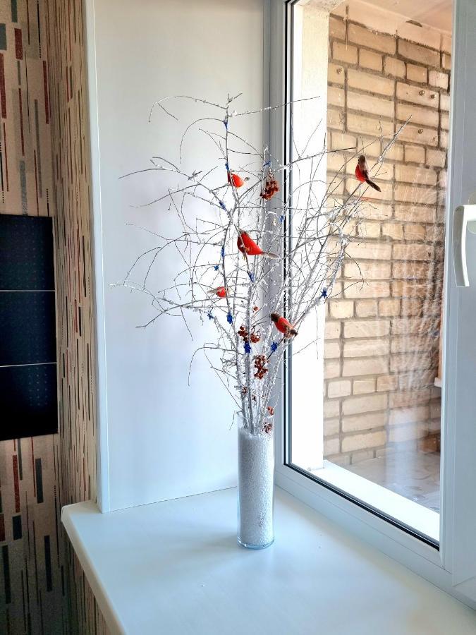 Apartment На Стрелке С Красивым Видом На Иртыш Ustʼ-Kamenogorsk Extérieur photo